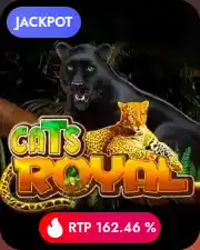 Cats Royal